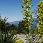 Villa Arbousiere tuin met uitzicht op zee