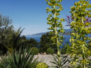 Villa Arbousiere tuin met uitzicht op zee